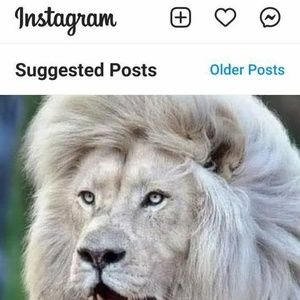 Meet your Posher, Ras